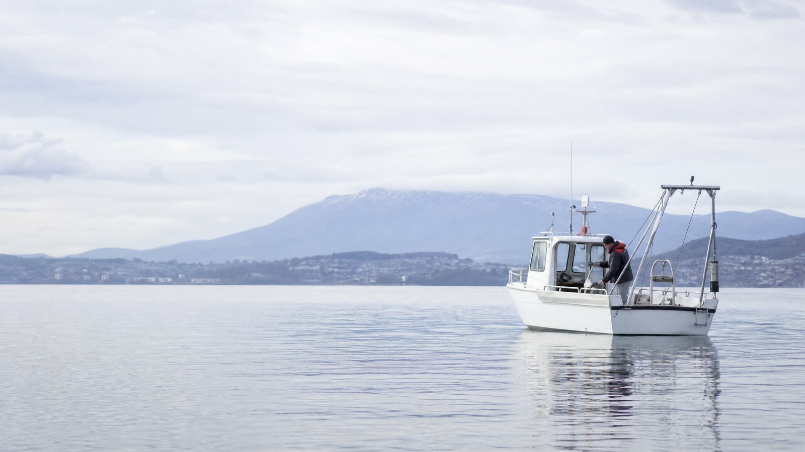 Estuary Survey Hero
